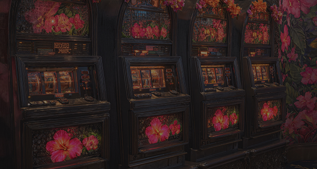 Spin Casino